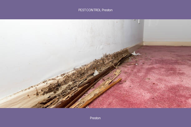 PEST CONTROL Preston
